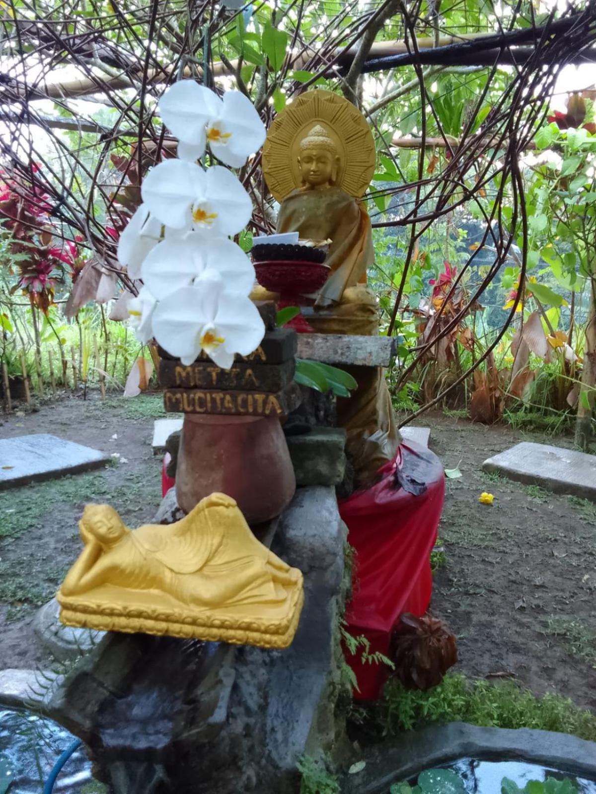 Bucu Hidden Guest House, And Meditation Center Payangan Exterior photo