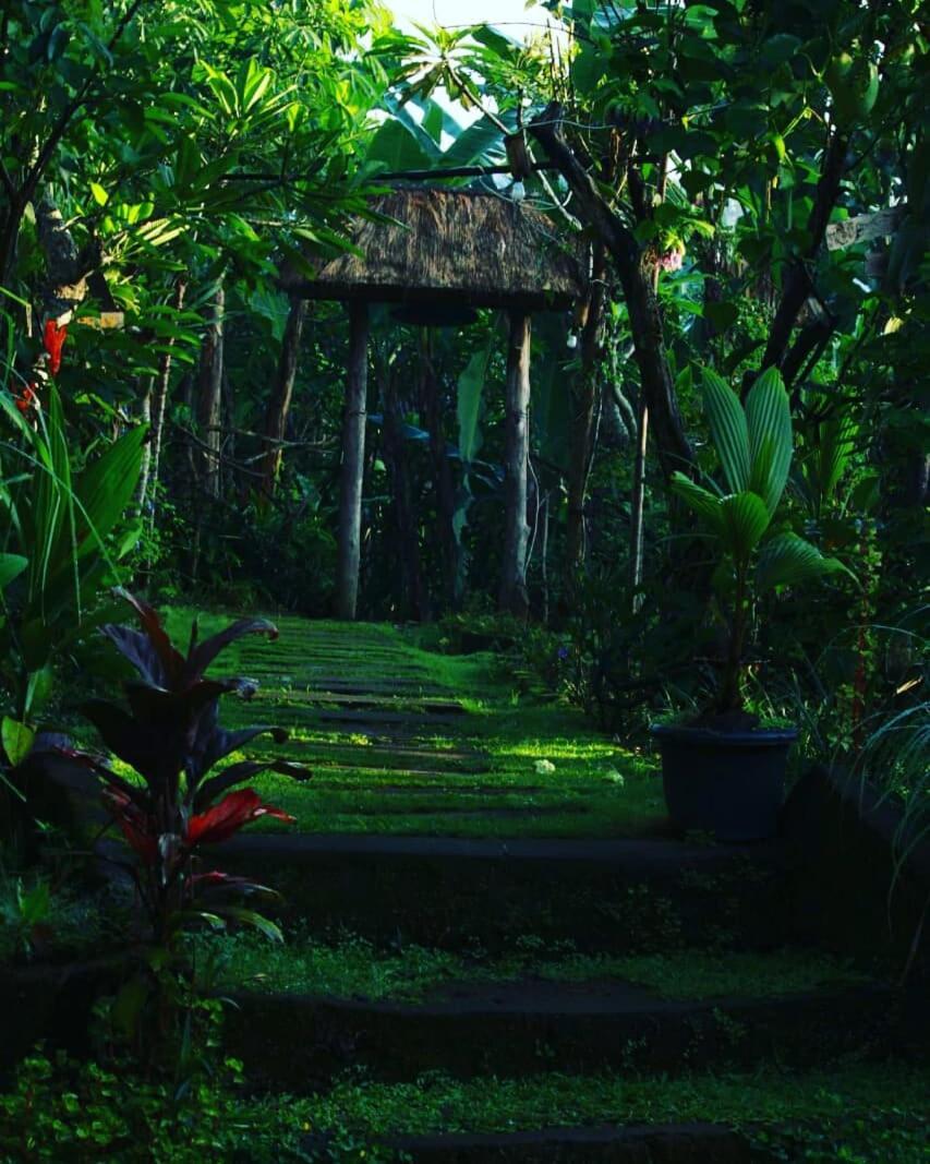 Bucu Hidden Guest House, And Meditation Center Payangan Exterior photo